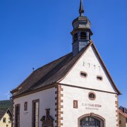 Fotoshooting Spessart-Mainland 2024, © Spessart-Mainland/ILE Südspessart/Holger Leue